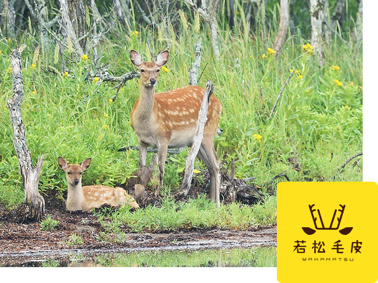 山の命へ、敬意を込めて。